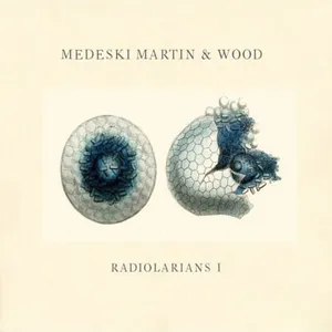Radiolaraians 1